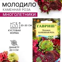 Семена цветов Молодило &laquo;Каменная Роза&raquo;, 0.01 г, &laquo;Гавриш&raquo;