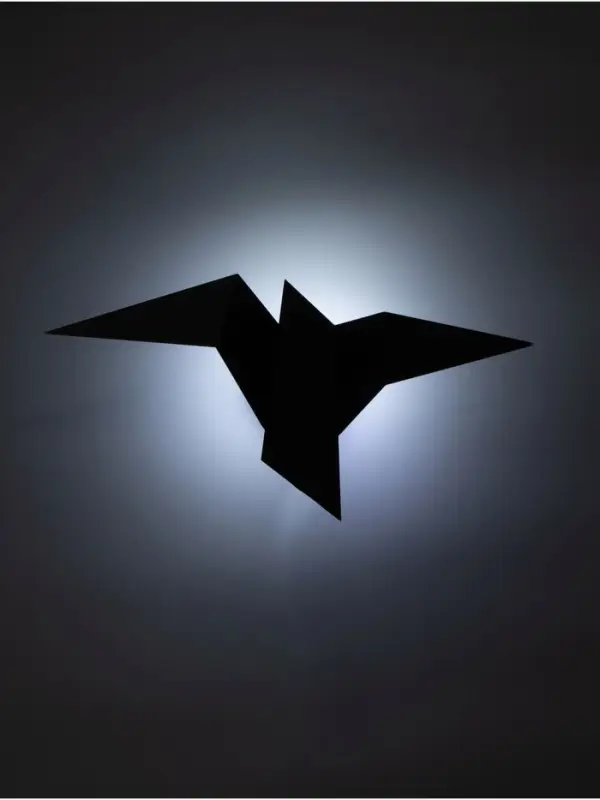 Светильник потолочный BayerLux Crow, 1&times;10 Вт, GU10, черный, 35&times;18&times;10 см