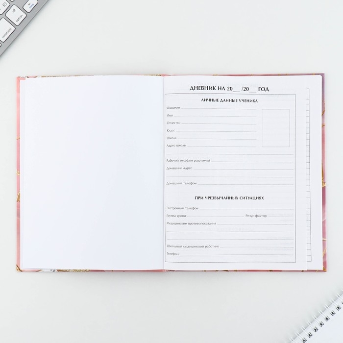 Дневник школьный 1-11 класс универсальный &laquo;1 сентября:Мрамор&raquo;, твердая обложка 7БЦ, глянцевая ламинация, 40 листов