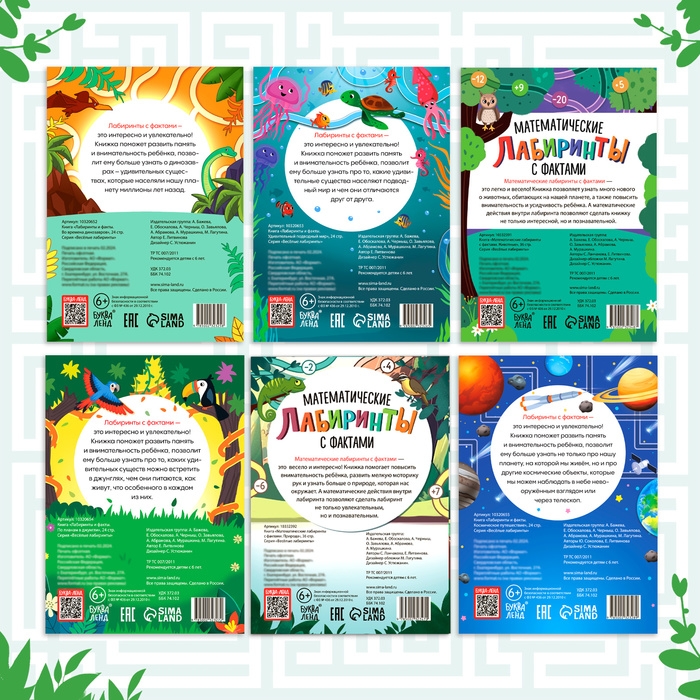 Набор обучающих книг «Лабиринты и факты», 6 шт. Набор обучающих книг «Лабиринты и факты», 6 шт.
