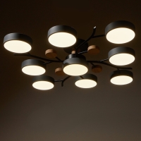 Люстра 1316/9GR LED 216Вт 3000-6000К серый 87х87х17 см BayerLux