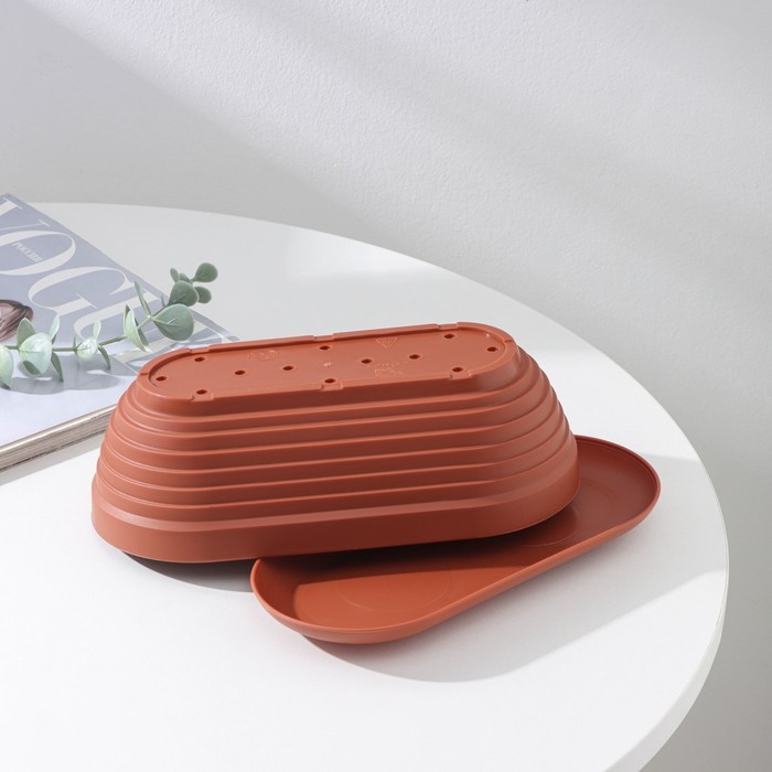 Горшок для кактуса с поддоном «Алиса», 0,9 л, h=7 см, цвет терракот Горшок для кактуса с поддоном «Алиса», 0,9 л, h=7 см, цвет терракот