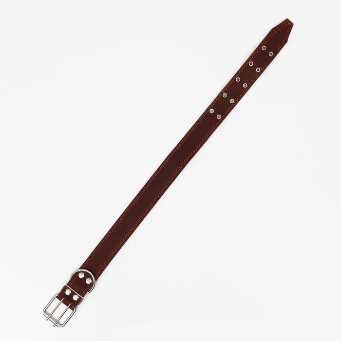 Ошейник кожаный на синтепоне, 82 х 4.5 см, ОШ 50-70 см, коричневый Ошейник кожаный на синтепоне, 82 х 4.5 см, ОШ 50-70 см, коричневый