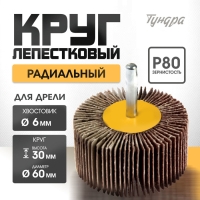 Круг лепестковый радиальный ТУНДРА, 60 х 30 х 6 мм, Р80