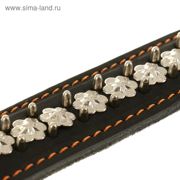 Ошейник кожаный на синтепоне Ошейник кожаный на синтепоне "Ёж", 69 х 3.6 см, ОШ 45-60 см, чёрный