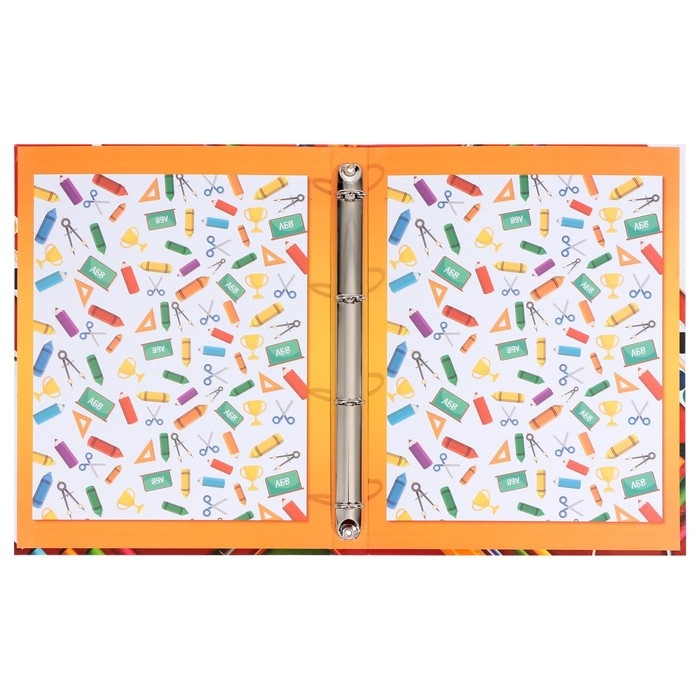 Папка школьная на кольцах «Портфолио ученика начальной школы», без разделителей, 24,5 х 32 см. Папка школьная на кольцах «Портфолио ученика начальной школы», без разделителей, 24,5 х 32 см.