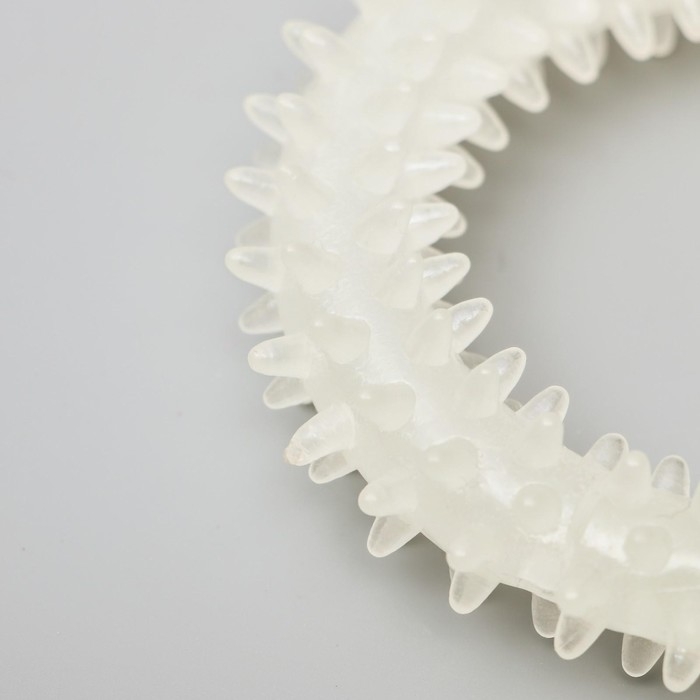 Игрушка для собак, светящаяся в темноте, Игрушка для собак, светящаяся в темноте, "Кольцо с шипами", 9 см