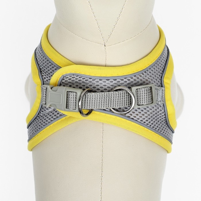 Комплект с мягкой шлейкой, быстросъемный, M, поводок 150 х 1,5 см, ОШ 38-44 см, ОГ 44-50 см, жёлтый Комплект с мягкой шлейкой, быстросъемный, M, поводок 150 х 1,5 см, ОШ 38-44 см, ОГ 44-50 см, жёлтый