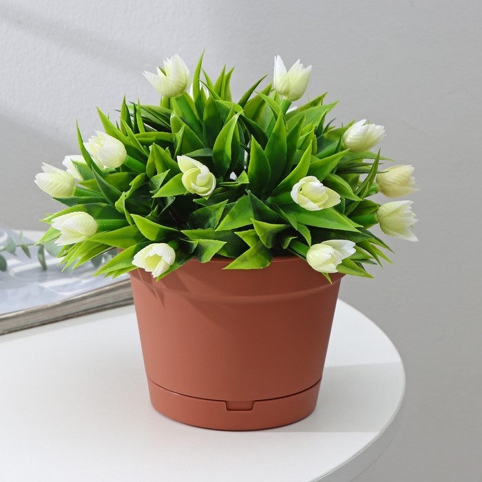 Горшок для цветов с поддоном Mint, 1,2 л, d=15 см, h=11,3 см, цвет терракотовый Горшок для цветов с поддоном Mint, 1,2 л, d=15 см, h=11,3 см, цвет терракотовый