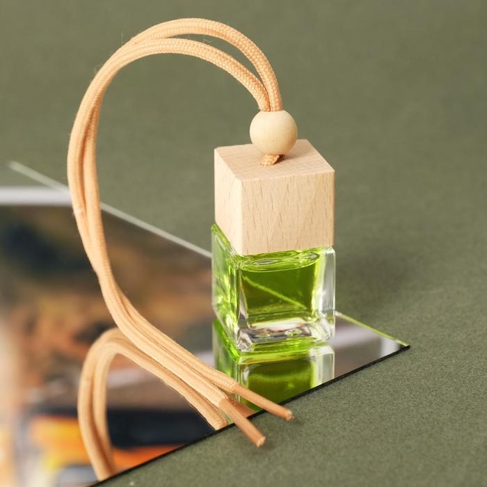 Ароматизатор подвесной в бутылочке, размер XXL «Хвойный лес» Ароматизатор подвесной в бутылочке, размер XXL «Хвойный лес»