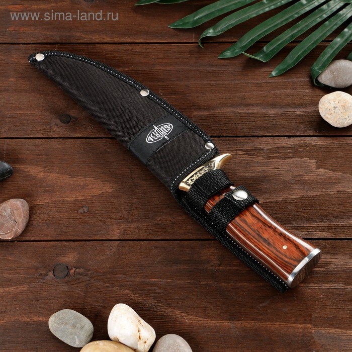 Нож охотничий  Нож охотничий "Печенег" сталь - 50х14, рукоять - бакелит, 30 см