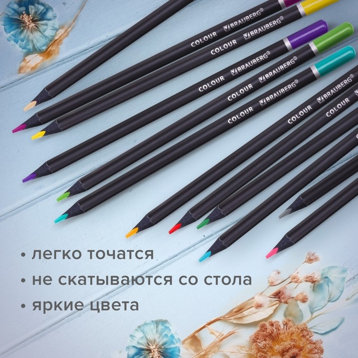 Карандаши 24 цвета BRAUBERG BLACK WOOD, трёхгранные, диаметр грифеля 3 мм, чёрное дерево Карандаши 24 цвета BRAUBERG BLACK WOOD, трёхгранные, диаметр грифеля 3 мм, чёрное дерево