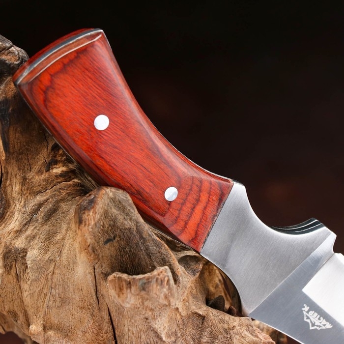 Нож охотничий Нож охотничий "Ринд" 22см, клинок 115мм/4мм, коричневый