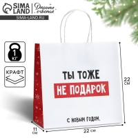 Пакет подарочный новогодний «Ты тоже не подарок», 22 х 22 х 11 см