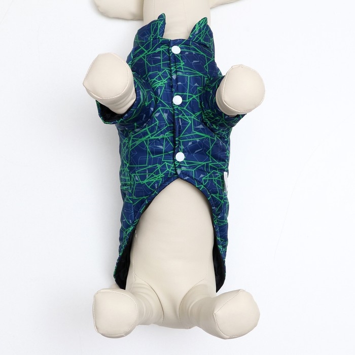 Куртка для собак  Куртка для собак "Матрица", размер 8, сине-зелёная (ДС 23, ОШ 26, ОГ 32 см)