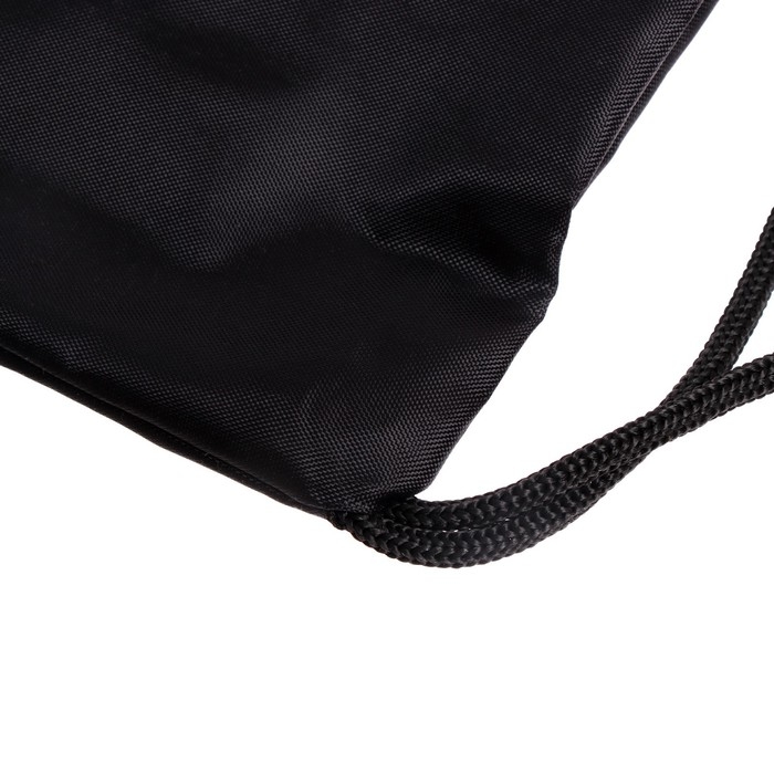 Мешок для обуви 490 Х 410 мм,  Мешок для обуви 490 Х 410 мм, "Стандарт" MAX, (мягкий полиэстер, плотность 210 D), черный