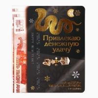 Ложка загребушка, кошельковый талисман новогодний «Новый год: Привлекаю удачу», 7 х 7 см