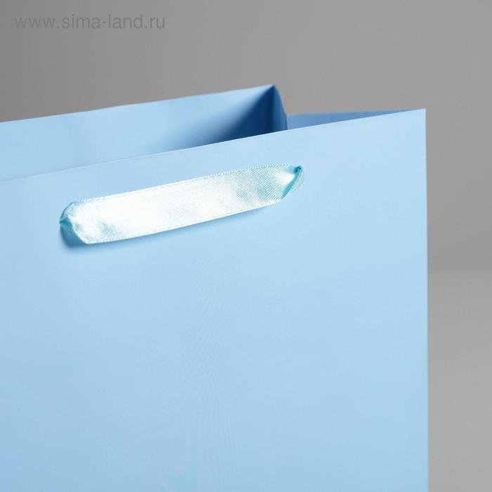 Пакет подарочный, упаковка, &laquo;Голубой&raquo;, 26 х 32 х 12 см