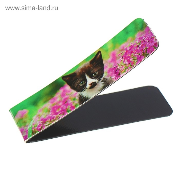 Набор закладок магнитных 6 штук Набор закладок магнитных 6 штук "Котята", ассорти