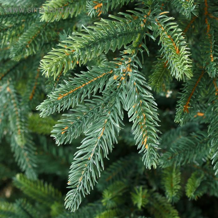 Ель искусственная Итальянская 2,1 м подставка металл Ель искусственная Итальянская 2,1 м подставка металл