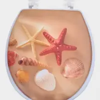 Сиденье для унитаза 40х37х4,5 см "Океан" Сиденье для унитаза 40х37х4,5 см "Океан"