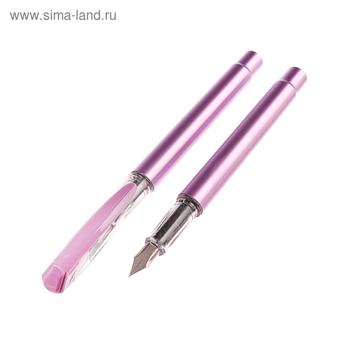 Ручка перьевая  Ручка перьевая "Перламутр", с закрытым пером, МИКС