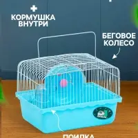 Клетка для грызунов &laquo;Пижон&raquo;, 23&times;17&times;17 см, голубая