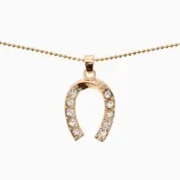 Кулон на цепочке &laquo;Подкова&raquo;, белый в золоте, 45 см