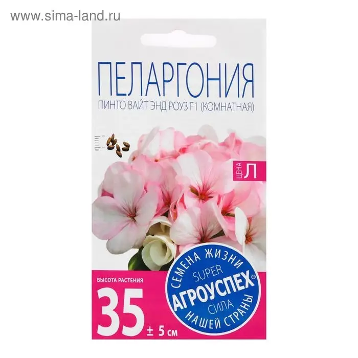 Семена цветов Пеларгония "Пинто Вайт энд Роуз", F1, 4 шт