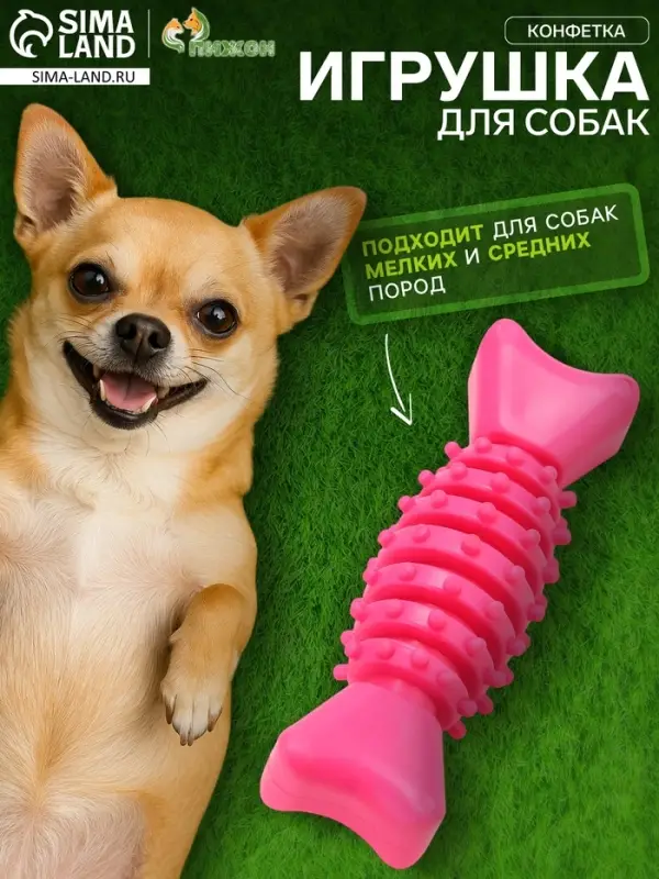 Жевательная игрушка для собак &laquo;Конфетка&raquo;, 2 см, TPR, розовая