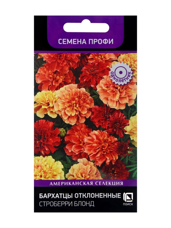 Семена цветов Бархатцы отклоненные Строберри Блонд, 10шт Семена цветов Бархатцы отклоненные Строберри Блонд, 10шт