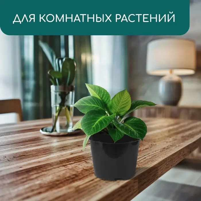 Горшок для рассады, 3 л, d=19 см, h=15 см, пластик, чёрный, Greengo Горшок для рассады, 3 л, d=19 см, h=15 см, пластик, чёрный, Greengo