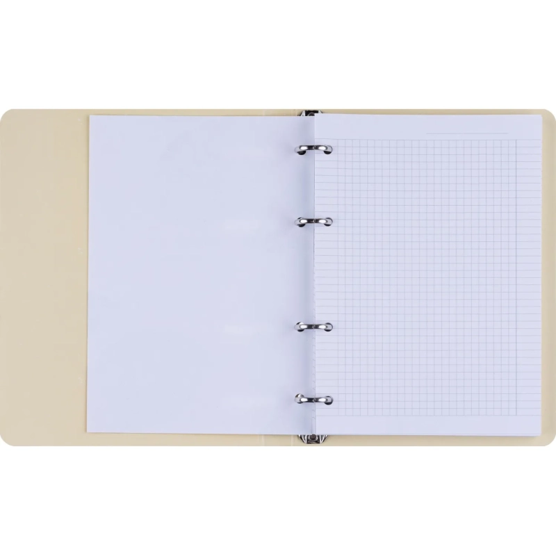 Тетрадь общая, BS, А5, 120л., клетка, кольца, Flora, персики N4236