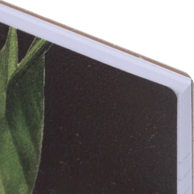 Бизнес-тетрадь, BS, А5, 80л., клетка, спираль. Flora, инжир N4184