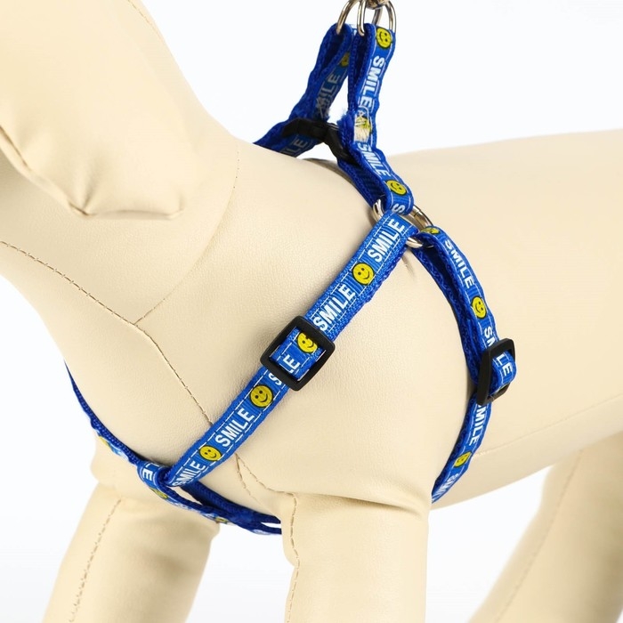 Комплект амуници Комплект амуници "Смайлик", ширина 1 см, поводок 120 см, шлейка 26-38 см, синий