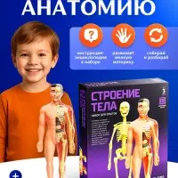 Набор для опытов &laquo;Строение тела&raquo;, анатомия человека