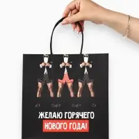 Пакеты подарочные &laquo;Весёлый Новый год&raquo;, набор 5 шт., 23&times;27&times;11.5 см