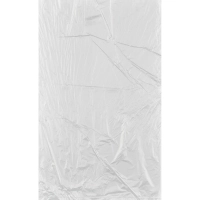 Пакет фасовочный  ПНД 25х40 15мкм 250шт./уп