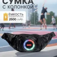 Портативная колонка - сумка LAB-85, 10 Вт, 2500 мАч, с подсветкой, поддержка карты памяти, чёрная