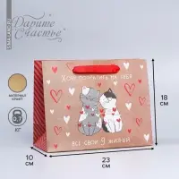 Пакет подарочный крафтовый, упаковка, &laquo;Потрачу девять жизней&raquo;, MS 18&times;23&times;8 см