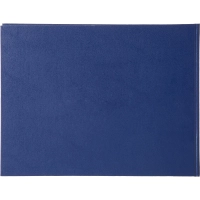 Книга учета Attache А4 96л клетка альбомная бумвинил офсет