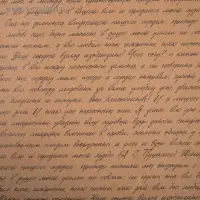 Бумага упаковочная крафтовая «Литература», 50 х 70 см Бумага упаковочная крафтовая «Литература», 50 х 70 см