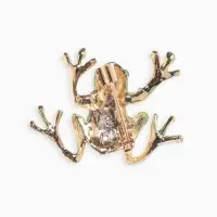 Брошь &laquo;Лягушка&raquo;, волшебная, зелёная в золоте