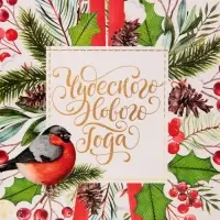 Пакет подарочный новогодний ламинированный «Чудесного Нового Года», MS 18 х 23 х 10 см