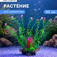 Растение искусственное для аквариума, 30 см, на платформе в виде коряги, 30 см, зелёное
