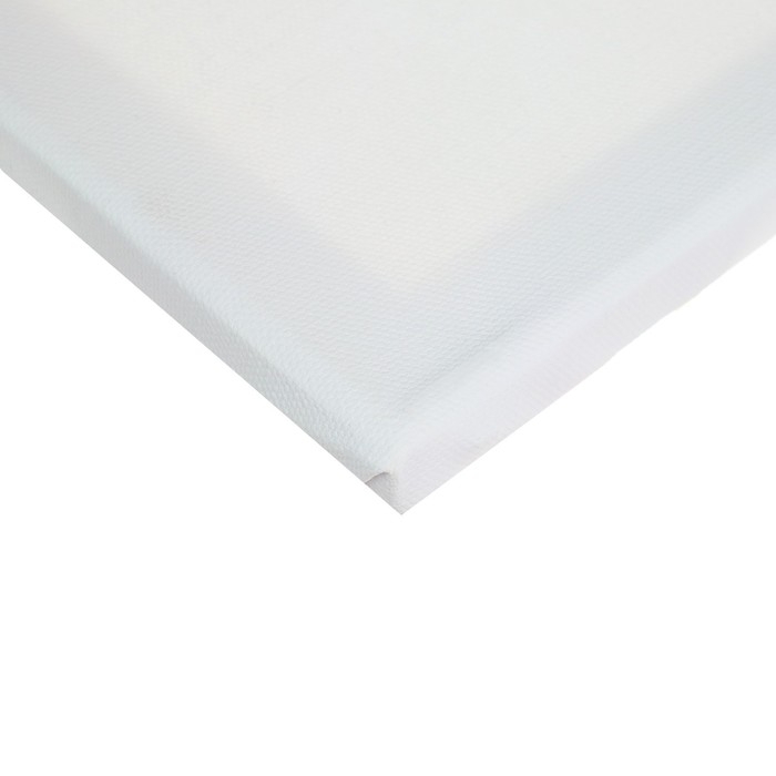 Холст на подрамнике, хлопок 100%, 1,6 х 50 х 60 см, акриловый грунт, среднезернистый, 380 г/м² Холст на подрамнике, хлопок 100%, 1,6 х 50 х 60 см, акриловый грунт, среднезернистый, 380 г/м²