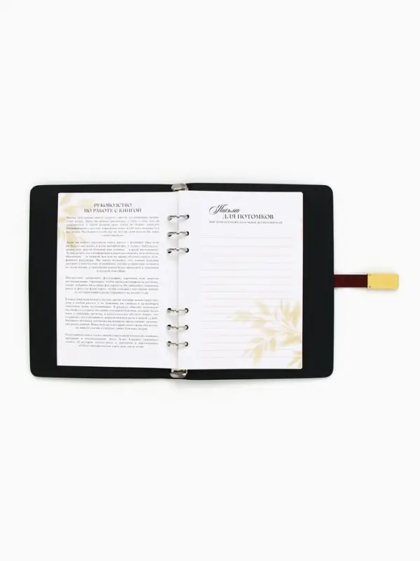 Родословная книга со встроенной флешкой 16 Gb &laquo;Книга всей семьи&raquo;, 17.5&times;23 см