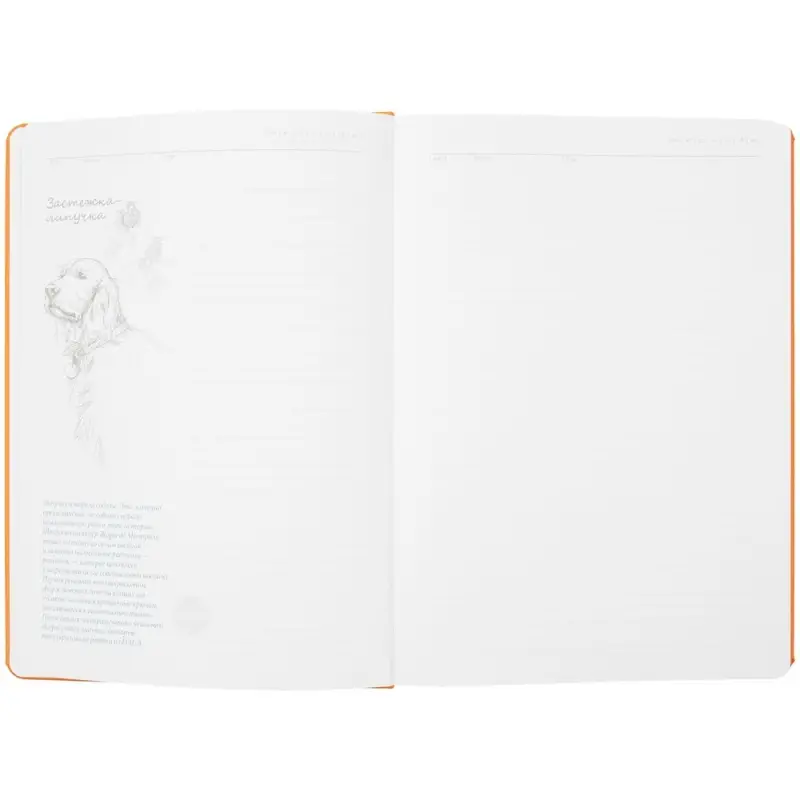 Ежедневник «История изобретений», недатированный, оранжевый Ежедневник «История изобретений», недатированный, оранжевый