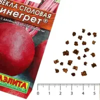 Семена Свекла столовая "Винегрет" "Лидер", 2 г   ,