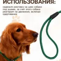 Ринговка для собак, 150&times;0.6 см, с вертлюгом, чёрная, зелёная